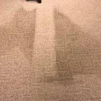Bama's Best Carpet Cleaning image 3